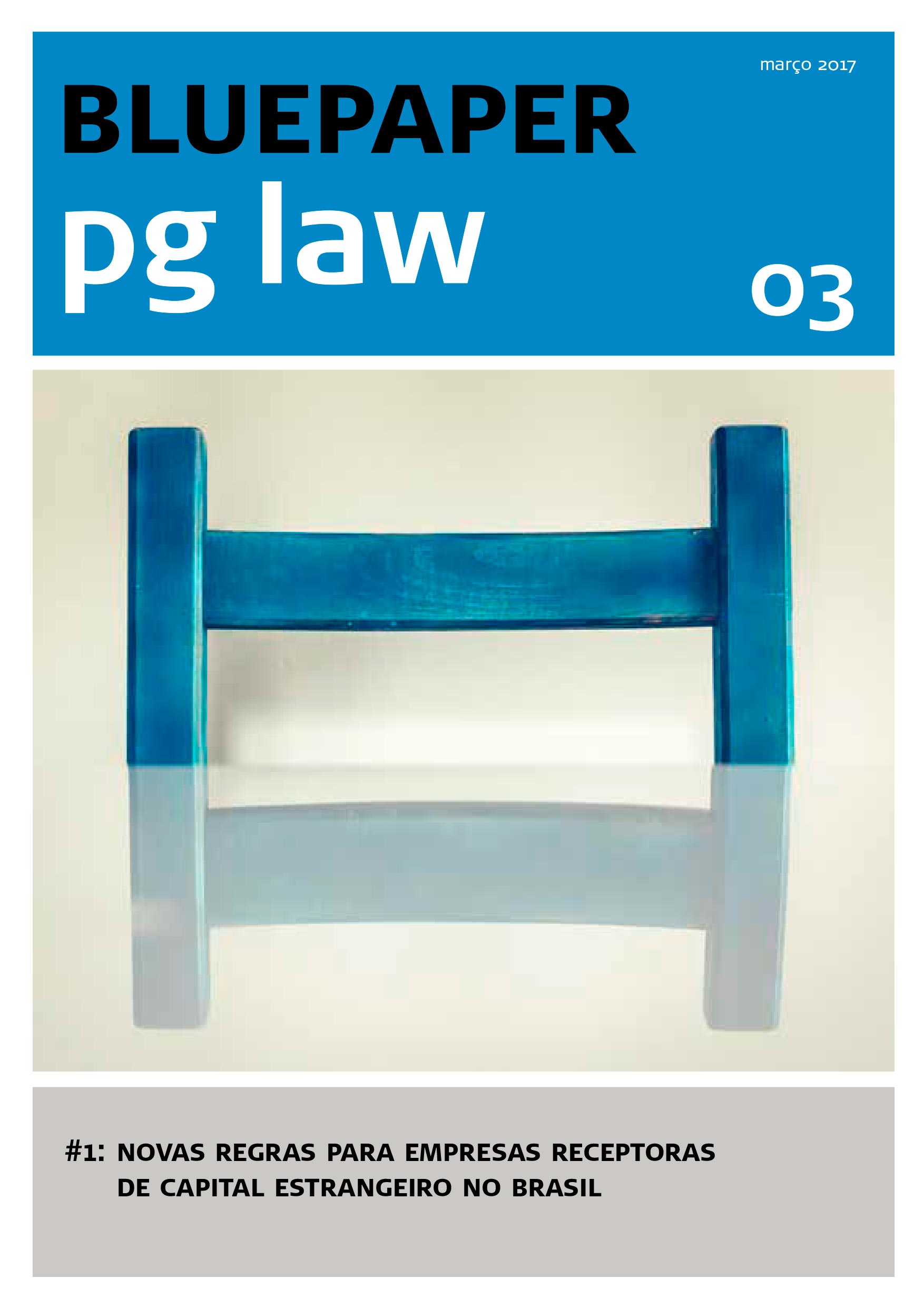 03-bluepaper-pglaw_pt